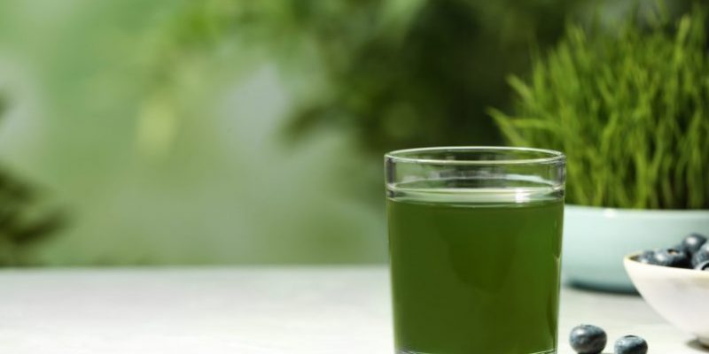 Chlorophyll Green Detox Smoothie Recipe - 21 Day Detox